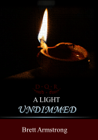A Light Undimmed cover art